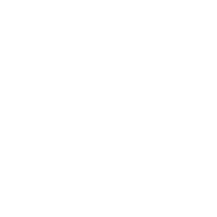 IT IT