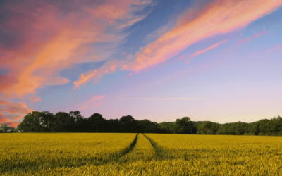 Independents Fiber Network Adds Two Points of Presence (POPs) in Indiana