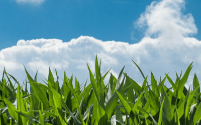 Independents Fiber Network Expands Fiber Optics in Northwest Ohio