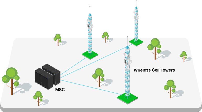 carrier-infographic